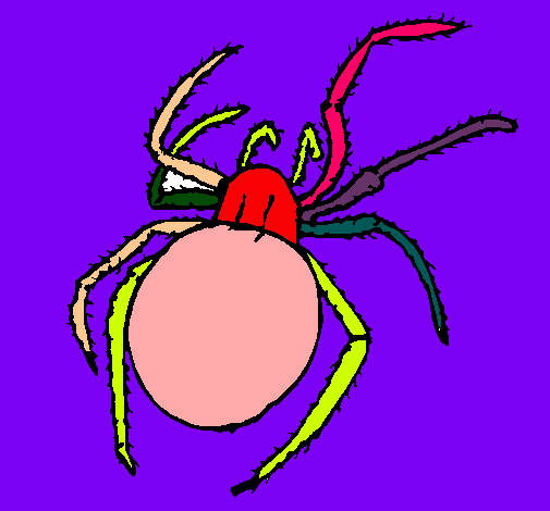 Araña venenosa