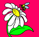 Dibujo Margarita con abeja pintado por yenhy