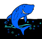 Dibujo Tiburón pintado por tibu