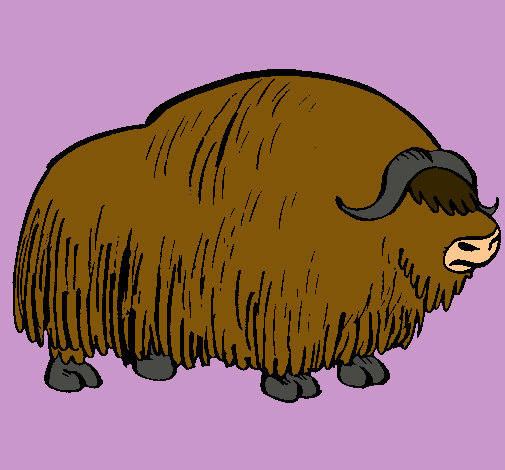 Bisonte