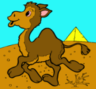 Dibujo Camello pintado por rebeca