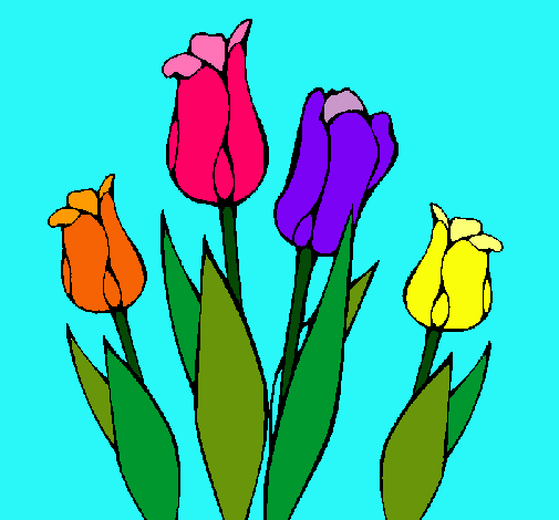 Tulipanes