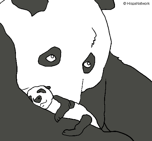 Oso panda con su cria