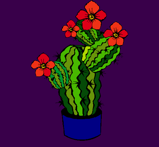 Flores de cactus