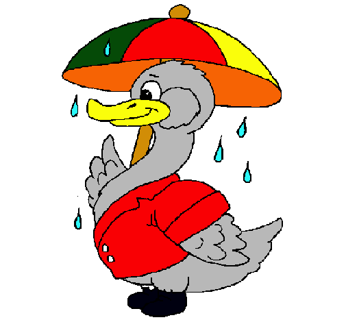 Pato bajo la lluvia