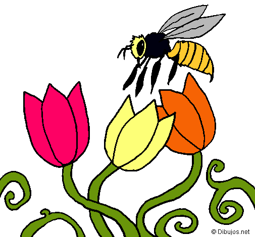 Abeja