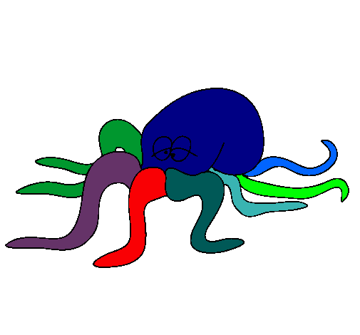 Pulpo