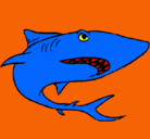 Dibujo Tiburón pintado por paco