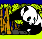 Dibujo Oso panda y bambú pintado por as