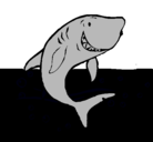 Dibujo Tiburón pintado por samuel