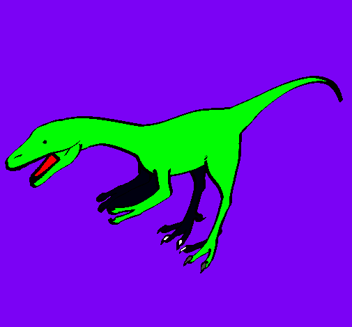 Velociraptor II