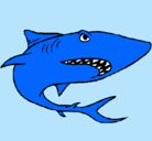 Dibujo Tiburón pintado por agustin