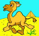 Dibujo Camello pintado por piarivera
