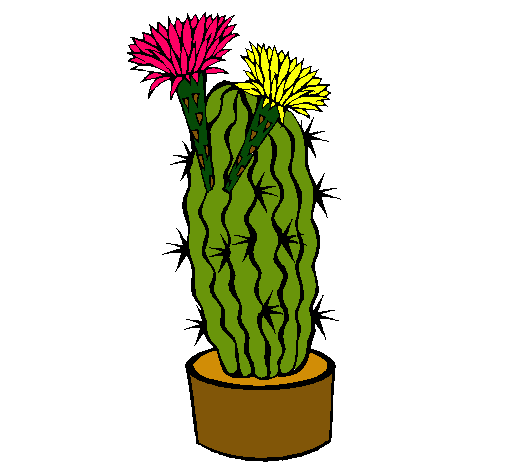 Cactus con flores