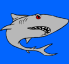 Dibujo Tiburón pintado por tico