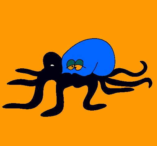 Pulpo