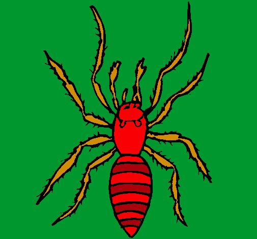 Araña tigre