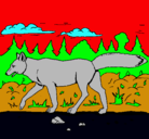 Dibujo Coyote pintado por castro
