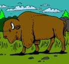 Dibujo Búfalo  pintado por antonia