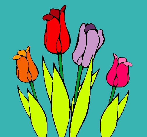 Tulipanes