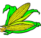 Dibujo Mazorca de maíz pintado por MARTY