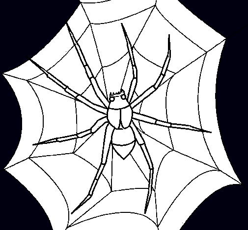 Araña