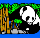Dibujo Oso panda y bambú pintado por shanaika