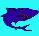 Dibujo Tiburón pintado por braiansamuel
