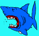 Dibujo Tiburón pintado por braiansamuel