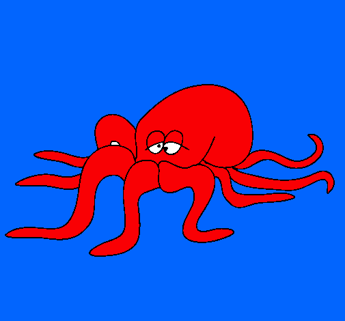 Pulpo