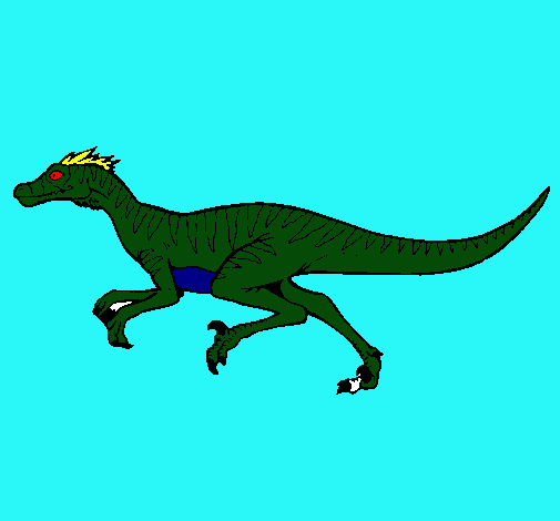 Velociraptor