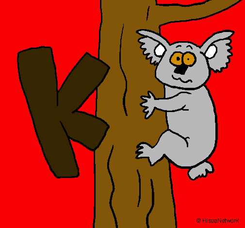 Koala