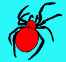 Dibujo Araña venenosa pintado por abraham