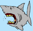 Dibujo Tiburón pintado por erick