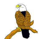 Dibujo Águila en una rama pintado por LEO-RAMOS
