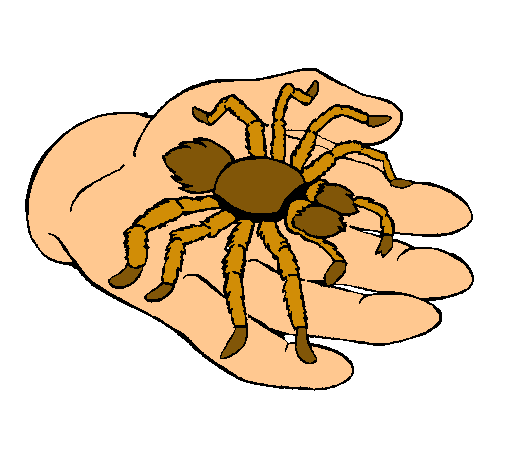 Tarántula