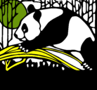 Dibujo Oso panda comiendo pintado por Danielhidalgomancilla