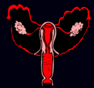 Dibujo Vagina pintado por wormmon