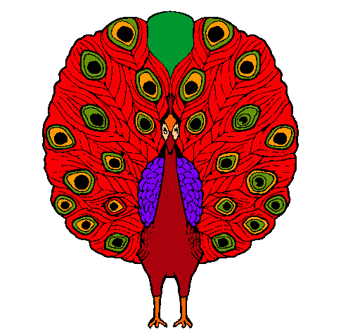 Pavo real