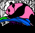 Dibujo Oso panda comiendo pintado por antonio