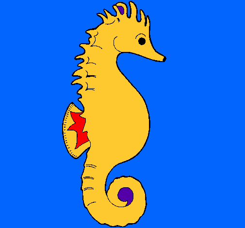 Caballito de mar