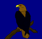 Dibujo Águila en una rama pintado por samantha