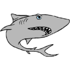 Dibujo Tiburón pintado por yaz