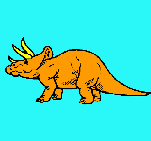 Triceratops