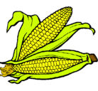 Dibujo Mazorca de maíz pintado por jazmin