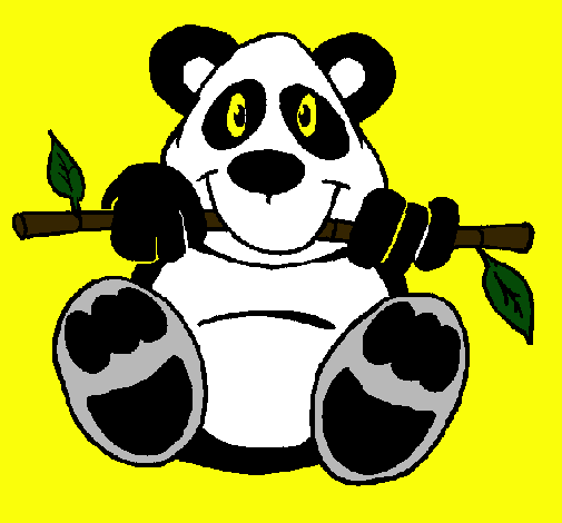 Oso panda