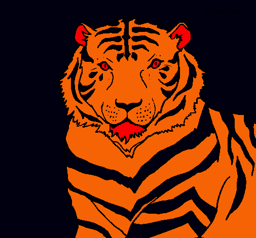 Tigre