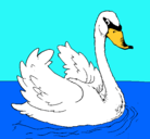 Dibujo Cisne en el agua pintado por LIBE