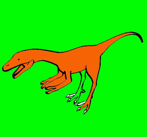 Velociraptor II