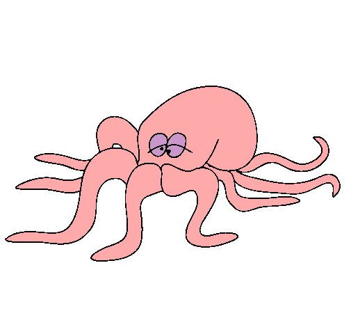 Pulpo